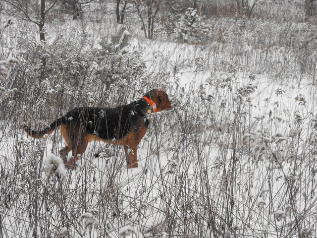 DSCF5014.JPG