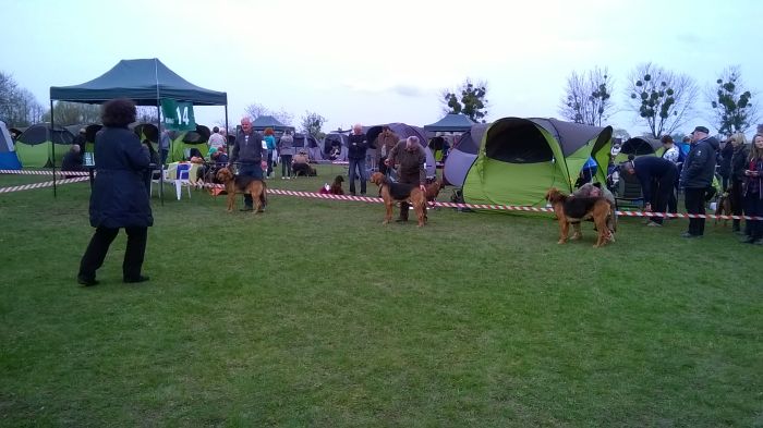 WP_20170409_11_52_06_Pro.jpg