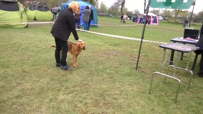 Ronja Gra z Wiatrem