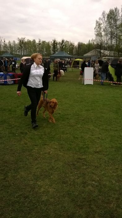Ronja