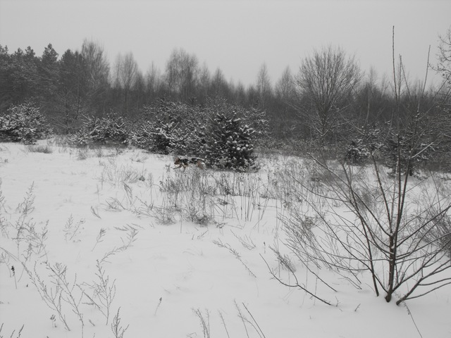 DSCF5015.JPG