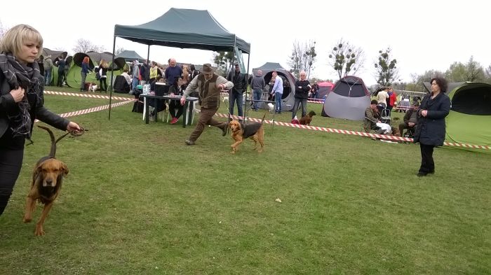 WP_20170409_12_07_25_Pro.jpg
