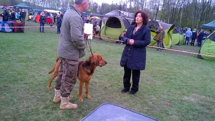 WP_20170409_11_45_06_Pro.jpg