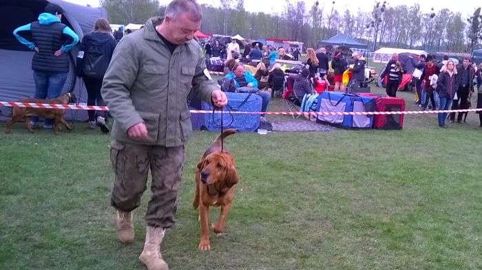 WP_20170409_11_45_56_Pro.jpg