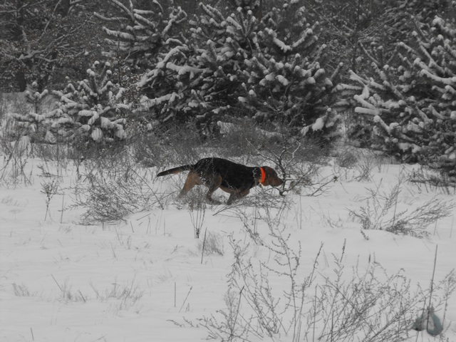 DSCF5016.JPG