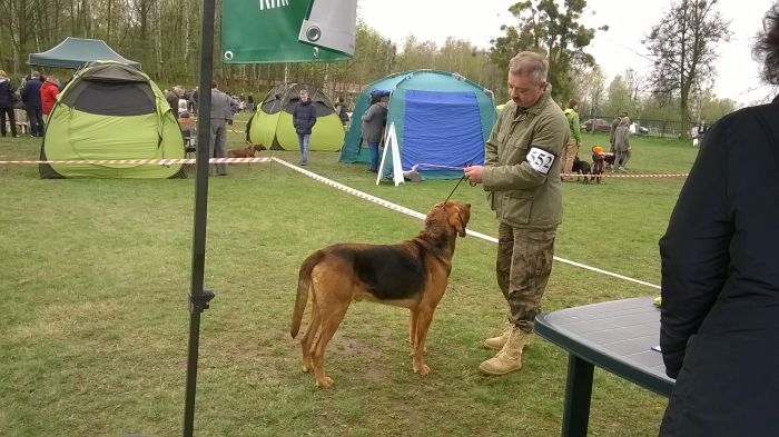 WP_20170409_11_46_41_Pro.jpg