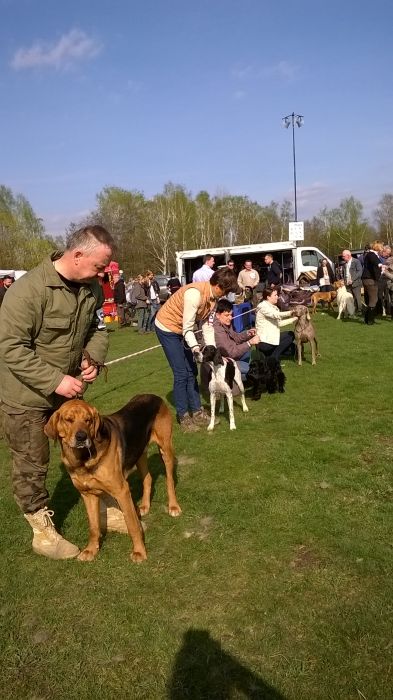 WP_20170409_15_48_39_Pro.jpg