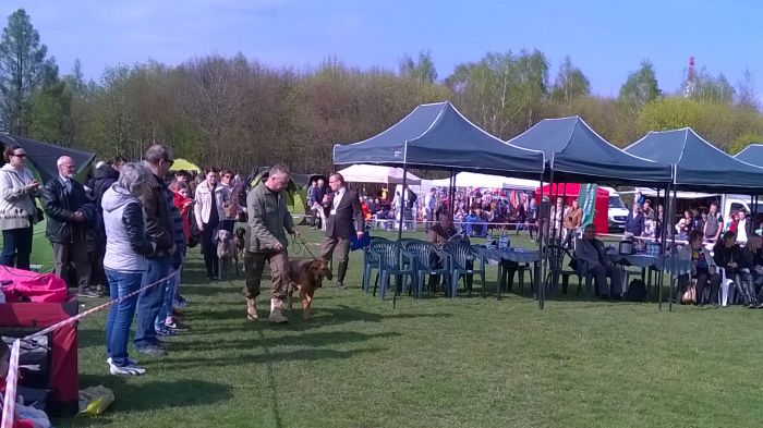 WP_20170409_15_53_11_Pro.jpg