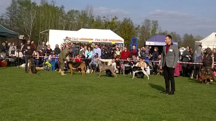 WP_20170409_15_54_08_Pro.jpg