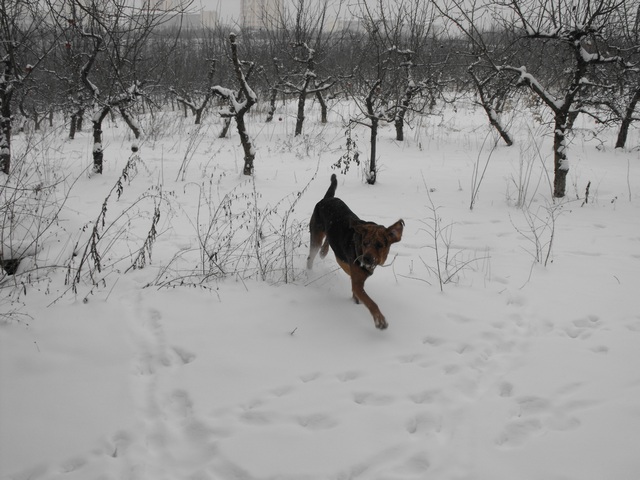 DSCF5020.JPG