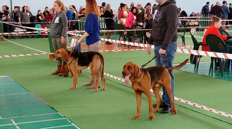 Aniu, załapał się i synek Feliksa :)