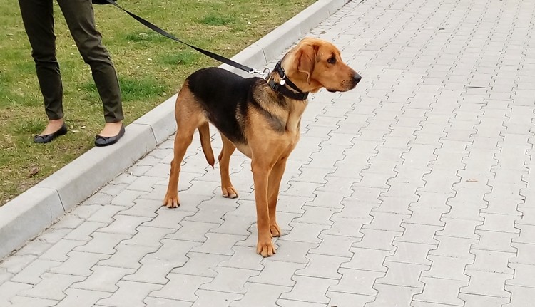 UNCJA z Huculskiej Łąki.jpg