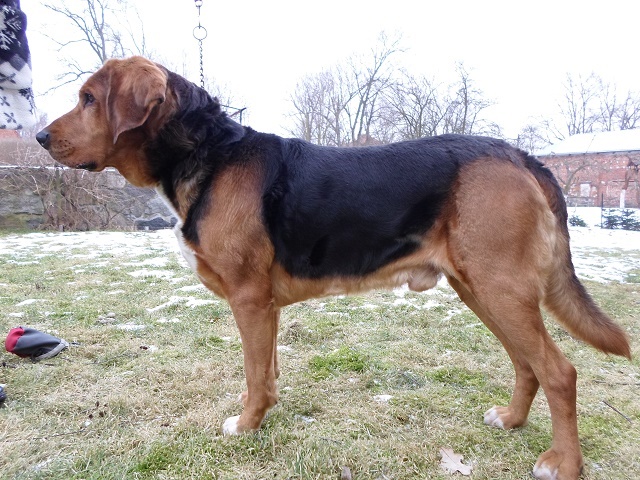SAM_5089.JPG