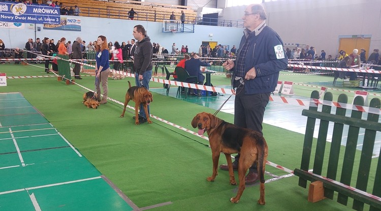 20170409_112733.jpg