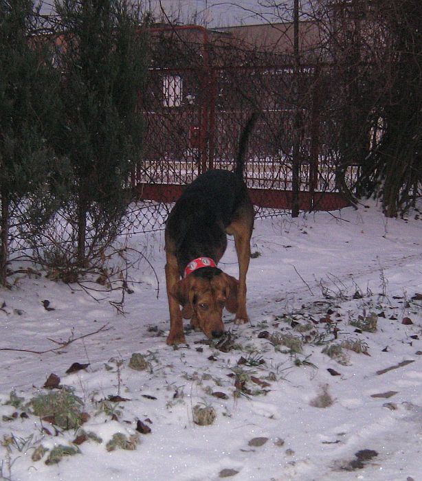 Węszę, węszę i węszę, mimo że nie jestem od Węszynoski ;))