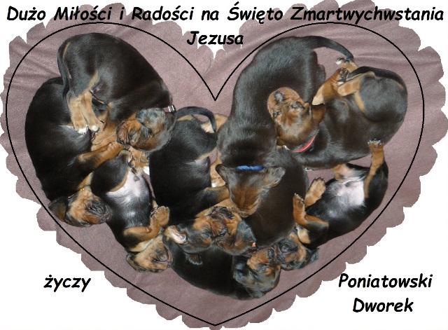 mserweta.jpg