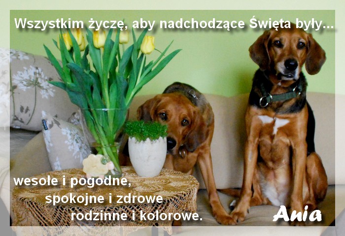 wielkanoc1.jpg