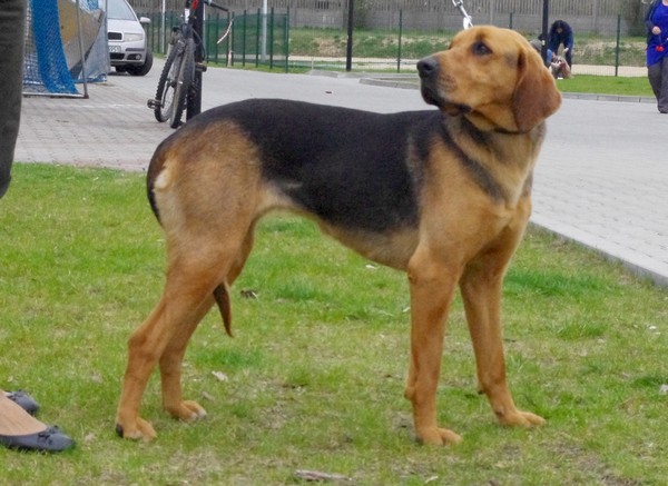 ilja3.JPG