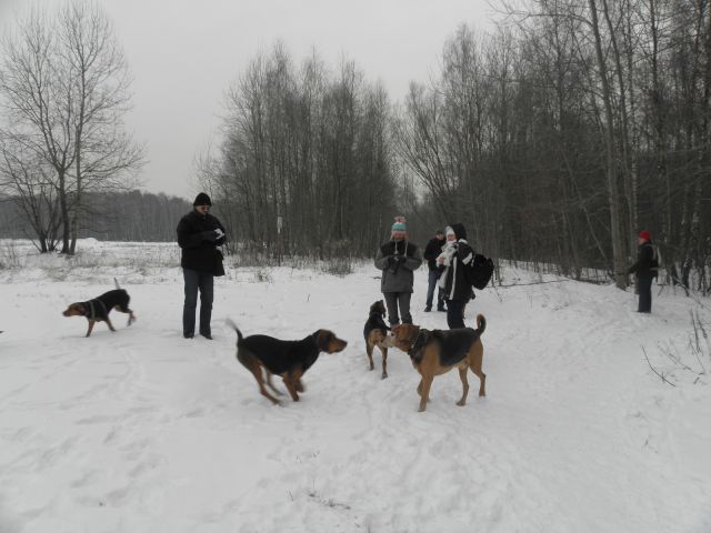Zbiórka