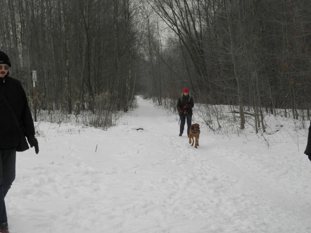 Rożek i Paulina