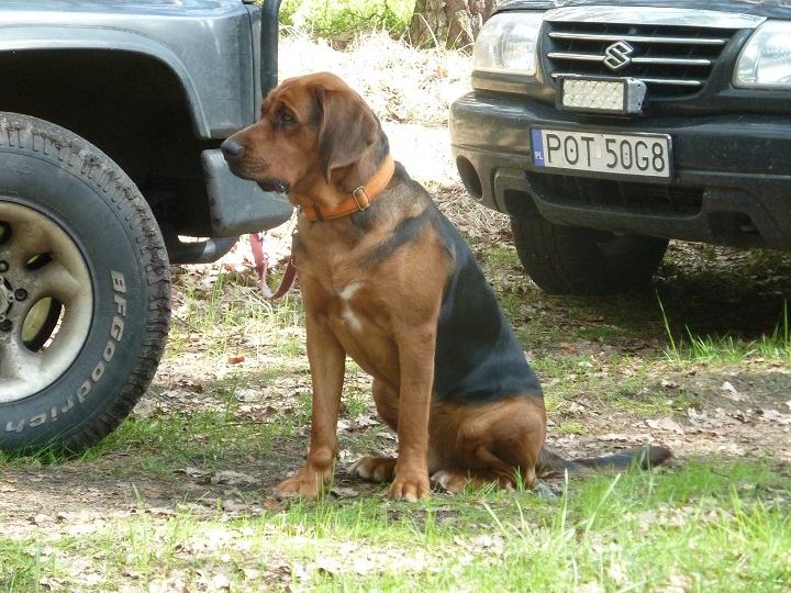 Hanto