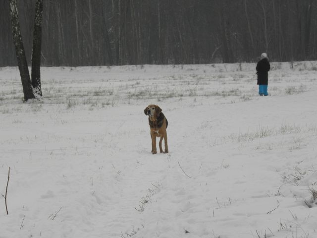 PC200365_1.jpg