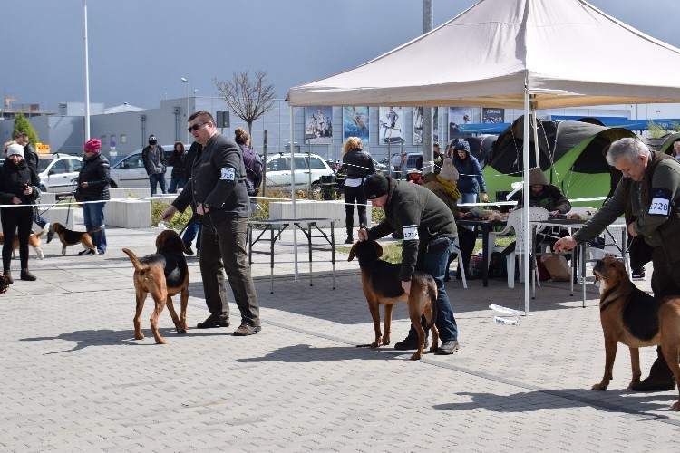 10 O NDPwR_ pierwszy od lewej OGI72,drugi Rozmaryn PwL, trzeci Gwardzista z Sarmackiej Tradycji.jpg