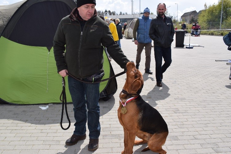 20 Rozmaryn PwL_oc dosk, Lok.I CWC, CACIB,NdPR,BOB,II miejsce w Rasach Polskich, IV miejce VI FCI.jpg