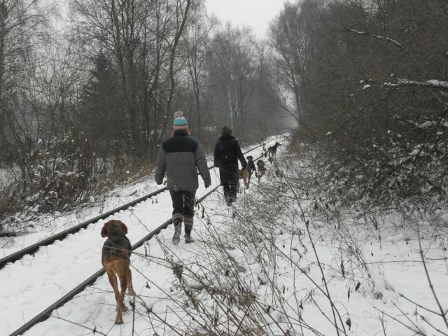 i maszerujemy gęsiego