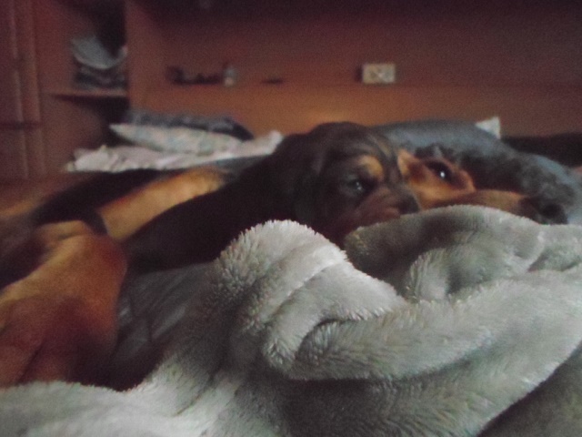 Orla i Wortal.JPG