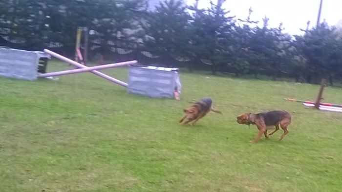 WP_20170427_14_21_30_Pro.jpg