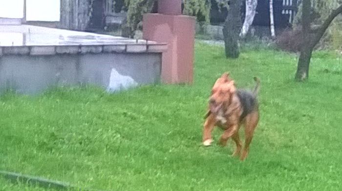 WP_20170427_14_24_08_Pro.jpg