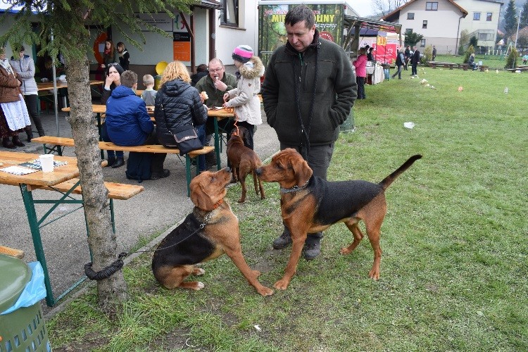 2_po mkonkursie_wspólna zabawa z Łyską Bazylowa Sfora.jpg