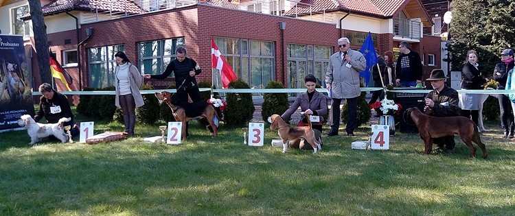 20170501_152510.jpg