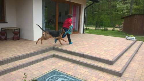 WP_20170503_14_45_24_Pro.jpg