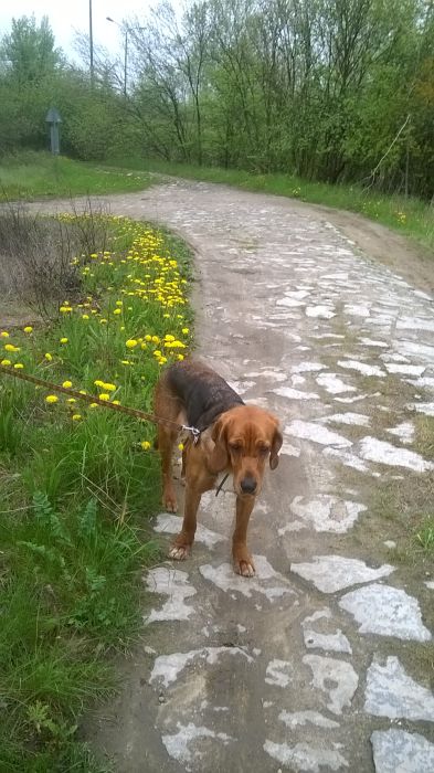 WP_20170506_14_51_00_Pro.jpg