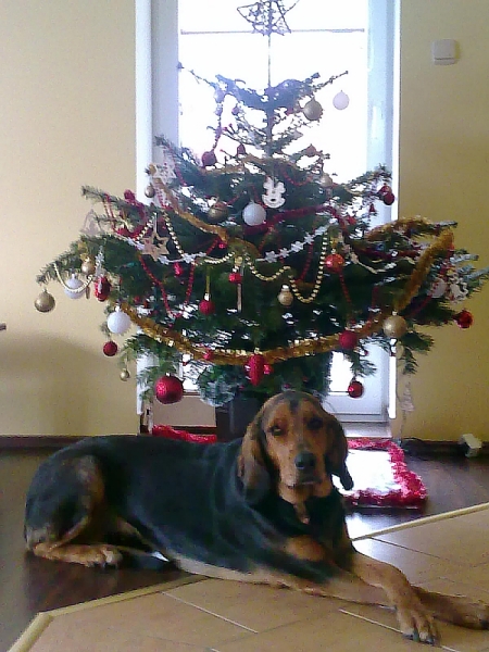 20091223069co.jpg