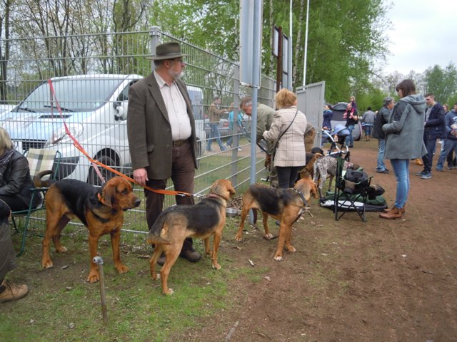 7. Rybnik.JPG