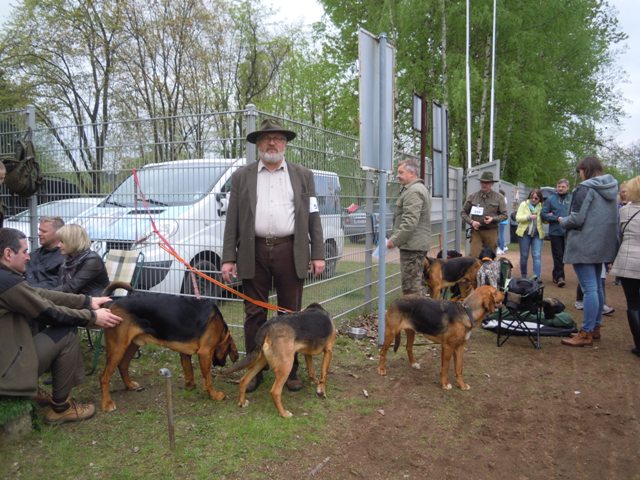 9. Rybnik.JPG