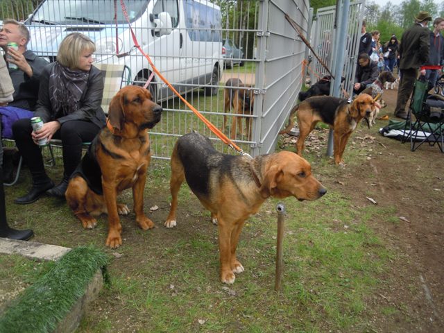 11. Rybnik.JPG