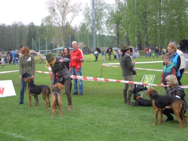 29. Rybnik.JPG