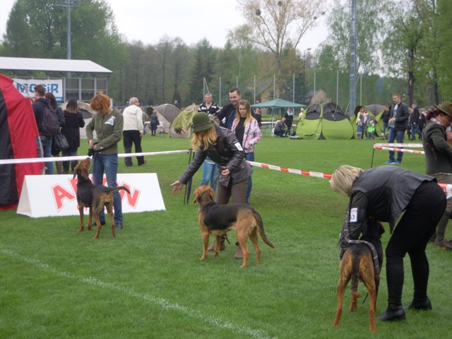 30. Rybnik.JPG