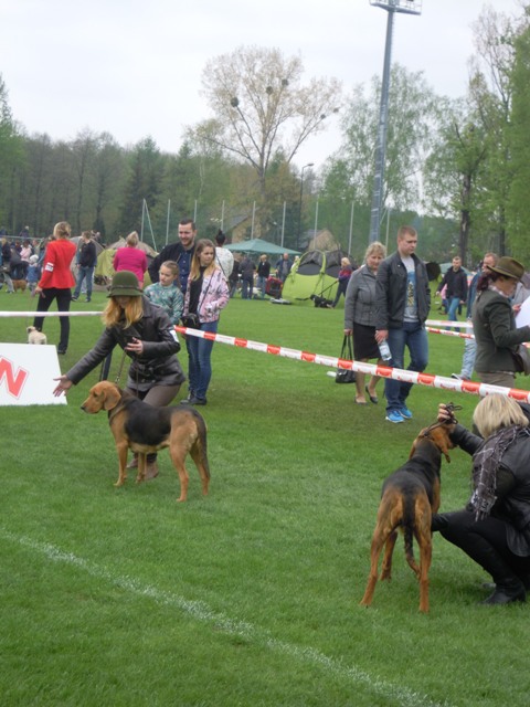 31. Rybnik.JPG