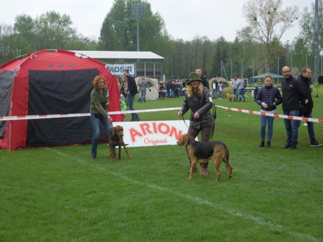 36. Rybnik.JPG