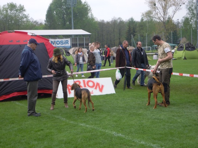 37. Rybnik.JPG