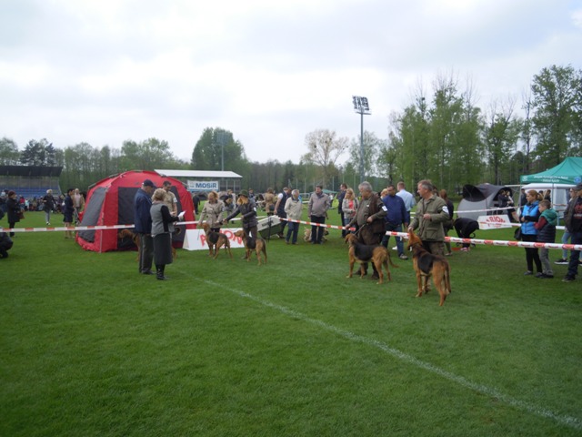 43. Rybnik.JPG