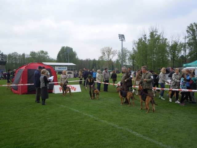 44. Rybnik.JPG