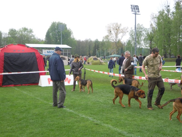 45. Rybnik.JPG