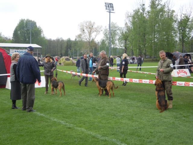 46. Rybnik.JPG