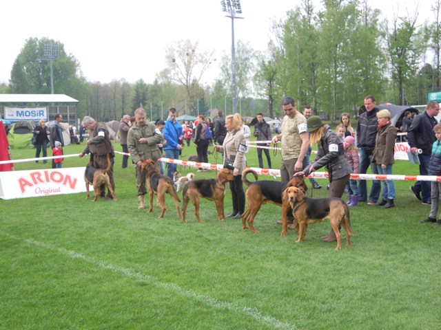 49. Rybnik.JPG